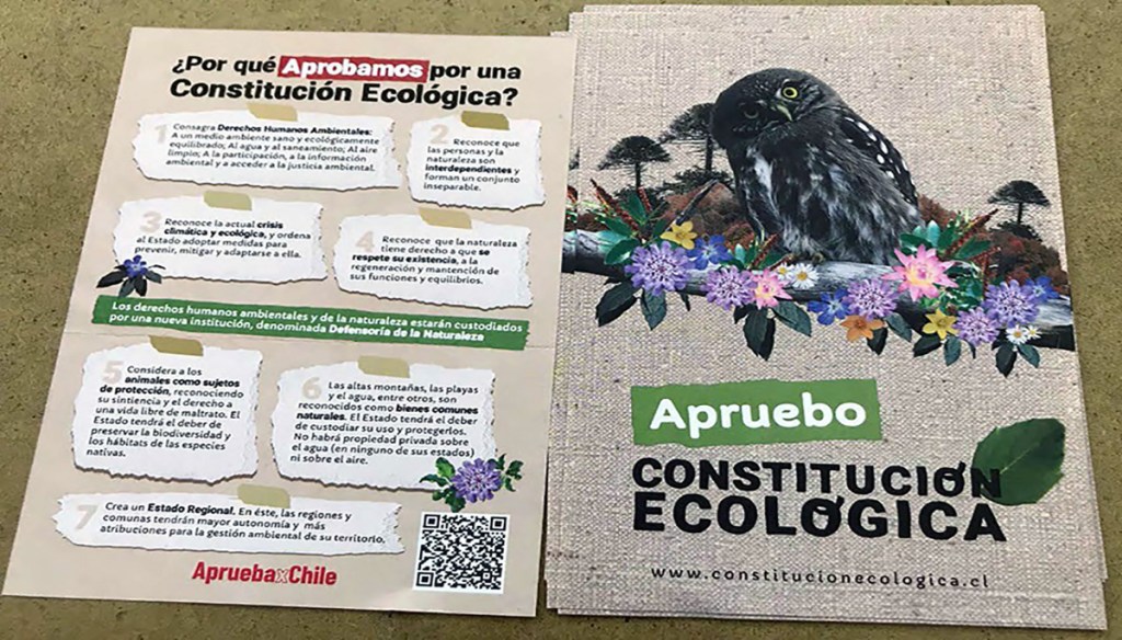 Captura de ecran con texto Apruebo Constitución Ecológica